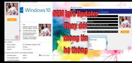 Download OEM Info Updater